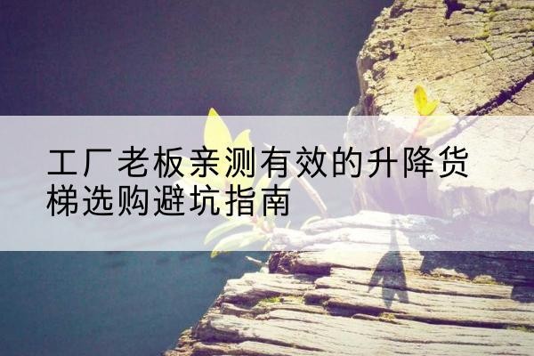 阜南升降货梯怎么选-工厂老板亲测有效的升降货梯选购避坑指南