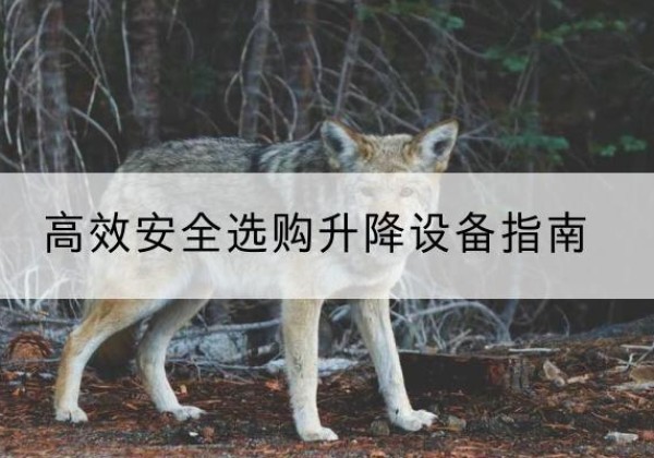 阜南升降货梯厂家推荐-*安全选购升降设备指南