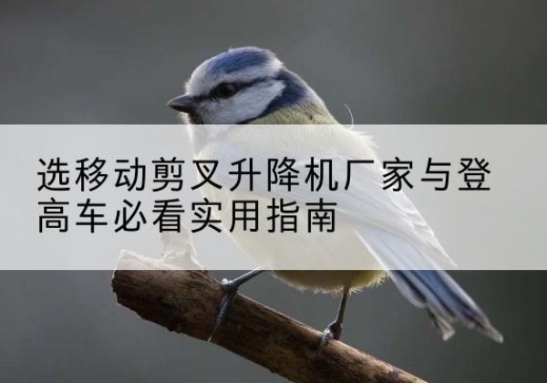阜南电动升降机厂家-选移动剪叉升降机厂家与登高车必看实用指南