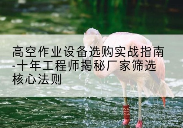 阜南剪叉式升降机厂家-高空作业设备选购实战指南-十年工程师揭秘厂家筛选核心法则