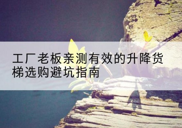 阜南升降货梯怎么选-工厂老板亲测有效的升降货梯选购避坑指南